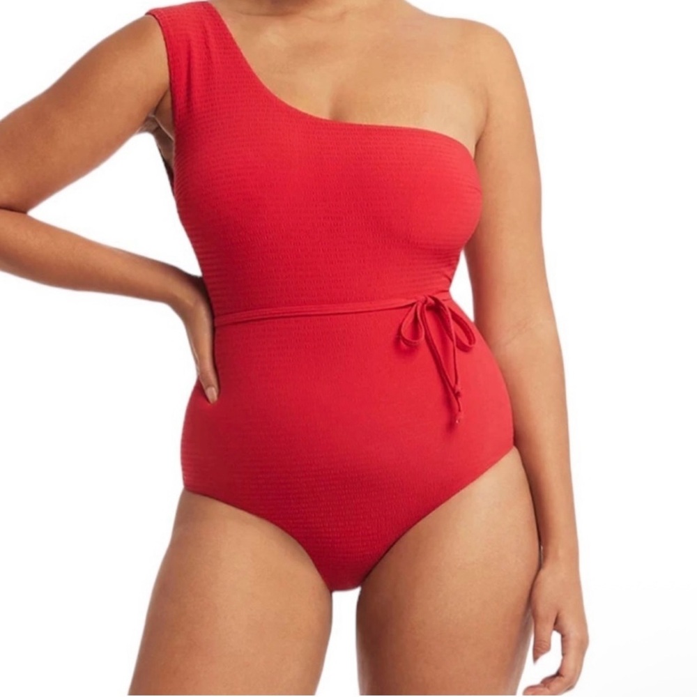 NWT Sea Level New Messina Wide Strap Diagonal One Piece